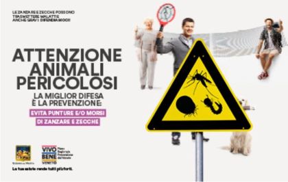 Programma informativo della Regione Veneto sulla prevenzione alle punture di zanzare e morsi di zecche Programma informativo della Regione Veneto sulla prevenzione alle punture di zanzare e morsi di zecche