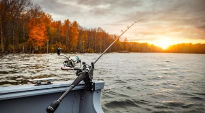 pesca pesca